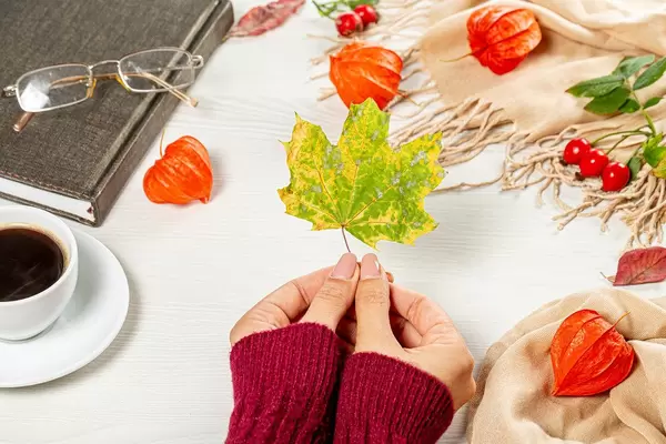 Dry maple leaf in the hands of a woman as a symbol of the onset of autumn (Flip 2019)
