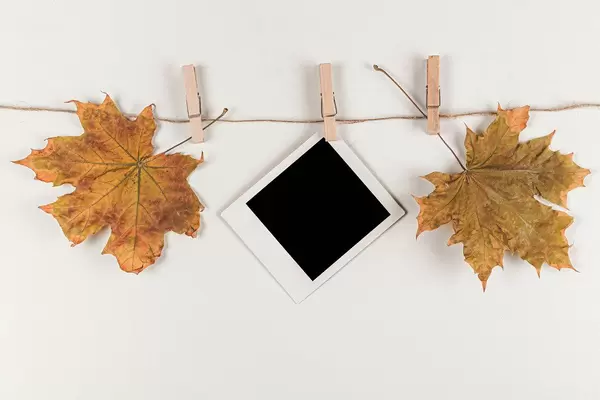 Dry maple leaves and instant photography hanging from a rope