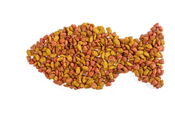Dry pet food on white in the shape of a fish