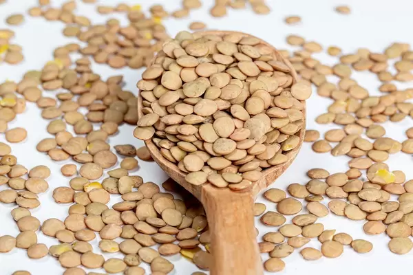 Dry seeds of pardin lentils in a wooden spoon and sprinkled on a white background