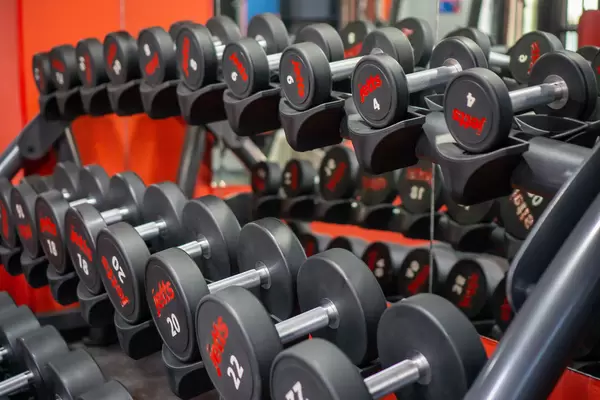 Dumbbell Shelf with many different Weights for Exercise in a Gym
