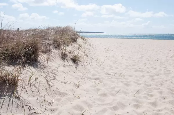 Dune of a Nordic beach with bright sand and dark sea