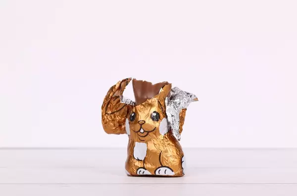 Easten chocolate Easter bunny