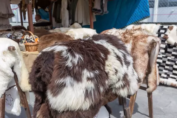 Echte Schafspelze verschiedener Farben und Muster