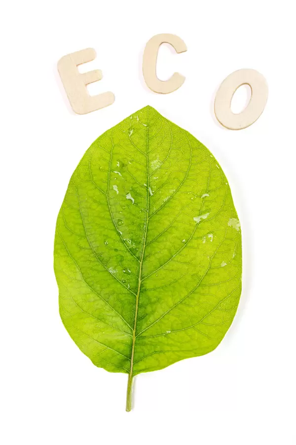 ECO inscription from wooden letters on a white background with a green leaf