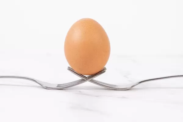 Egg sitting on the crossed forks above white background (Flip 2019)