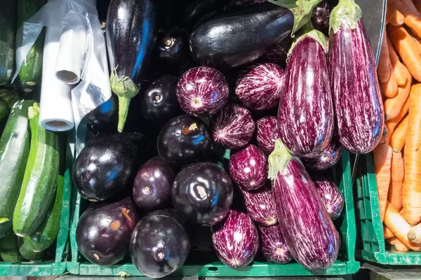Eggplant varieties violet and graffiti in the supermarket