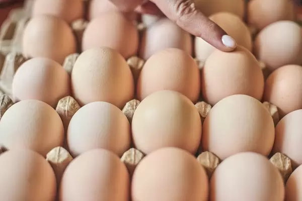 Eggs. A female pointing with her finger to an egg. Choosing the sex of baby (Flip 2020)