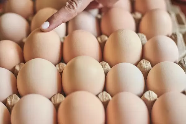 Eggs. A female pointing with her finger to an egg. Choosing the sex of baby