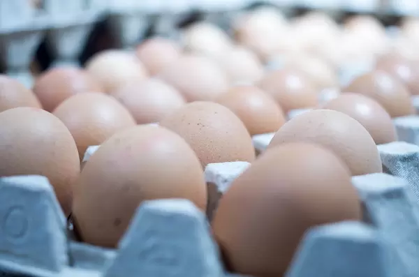 eggs at the supermarket