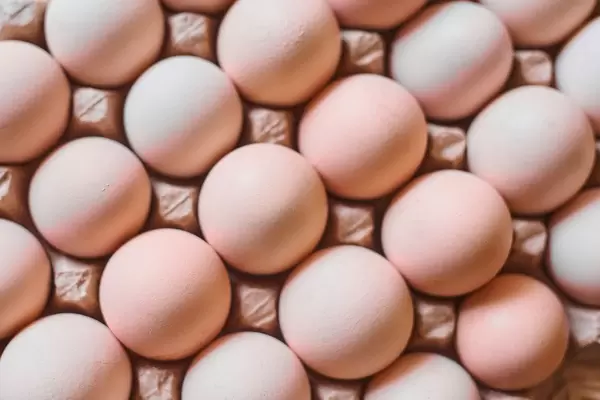 Eggs background.  Chicken eggs in carton (Flip 2020)