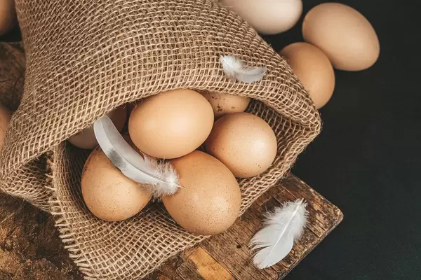 Eggs on burlap with feathers on a black background, top view