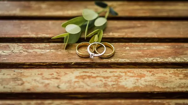 Eheringe und Verlobungsring vor kleinem Strauch mit sattgrünen Blättern auf Holztisch