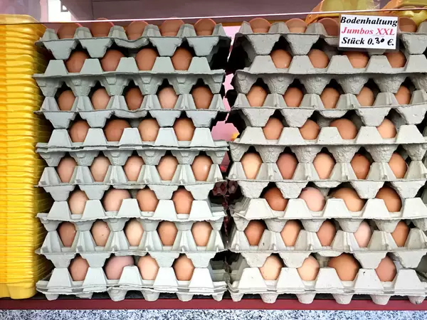 Eier aus Bodenhaltung