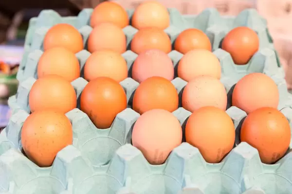 Eierkarton (30 Stück)