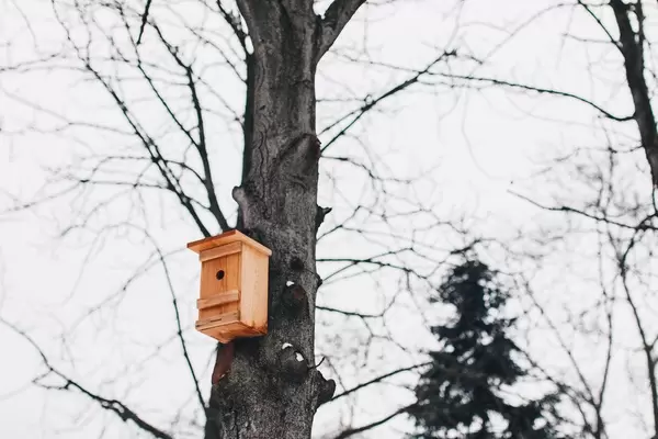 Ein aus Holz gefertigter Vogelhaus am Baum. Wintersaison