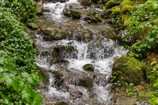 Ein Bach fließt zwischen den Felsen und den grünen Pflanzen in Alpbach, Tyrol