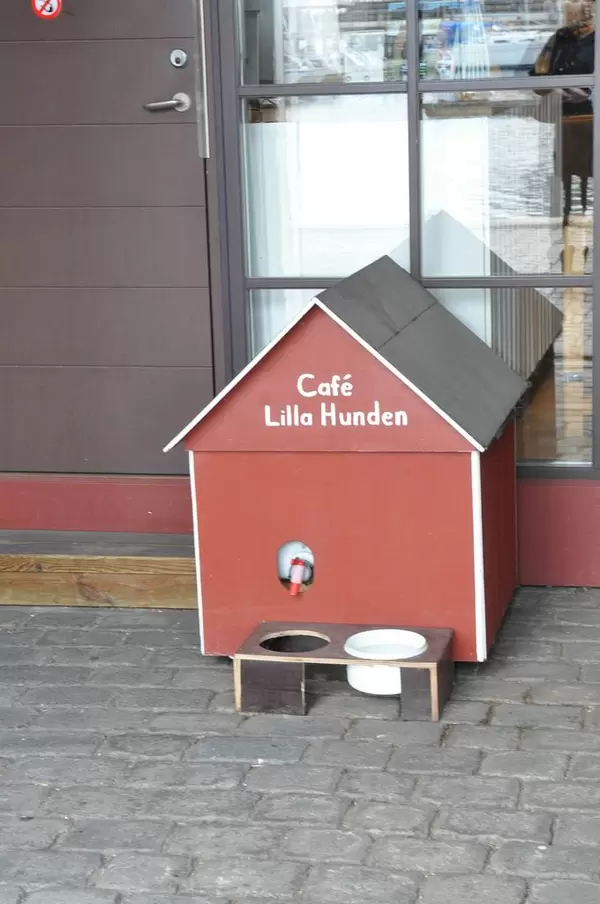 Ein Café für Hunde in Göteborg