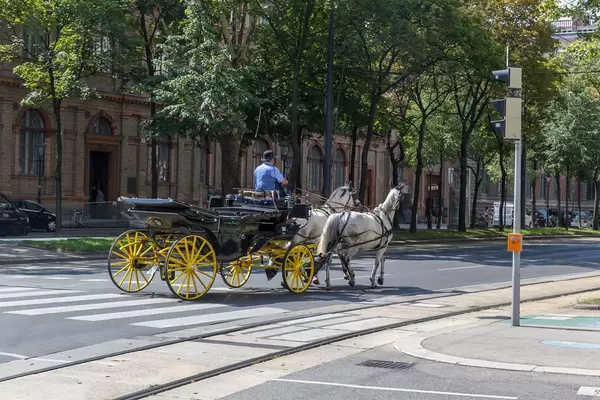 Ein Fiaker unweit vom Stephansdom in Wien