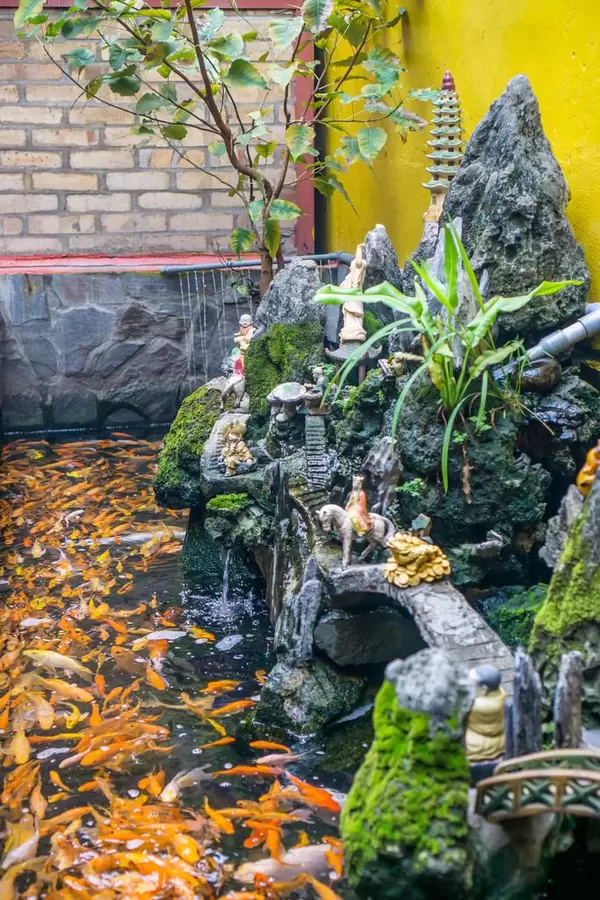 Ein Fischteich mit Goldfischen in einem Pagoda Tempel in Chinatown, Saigon