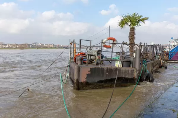 Ein Flussfloß auf dem Rhein mit einer echten Palme
