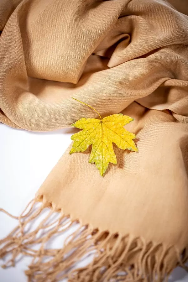 Ein gelbes Ahornblatt auf einem beigen Schal