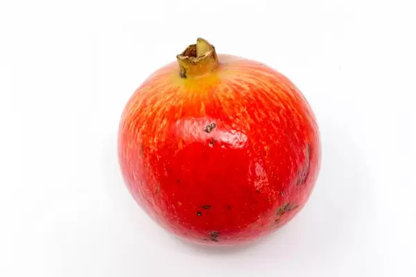 Ein Granatapfel auf weißem Hintergrund