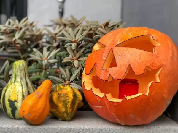 Ein Halloweenkürbis mit gruseligem Gesicht mit kleineren Kürbissen auf einem Vorsprung