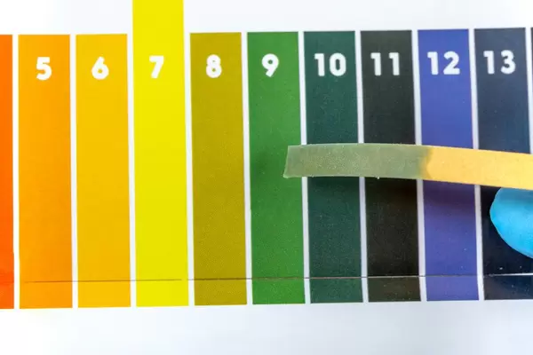 Ein PH Indikator Teststreifen wird über einer PH Testschablone gehalten Draufsicht
