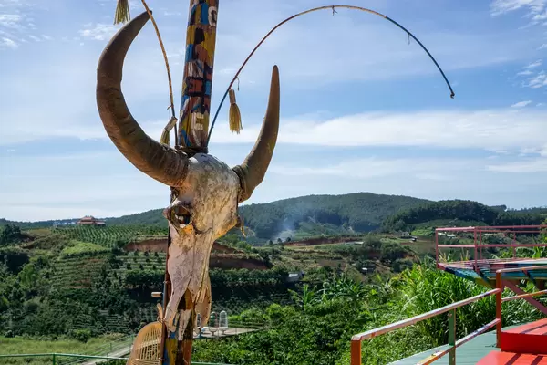 Ein Stier Totenkopf an einem Pfahl auf einer Sonnenterasse mit Aussicht auf Kaffeeplantagen im Hintergrund in Dalat, Vietnam