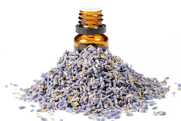 Eine Flasche ätherische Öle mit Lavendelblüten vor weißem Hintergrund