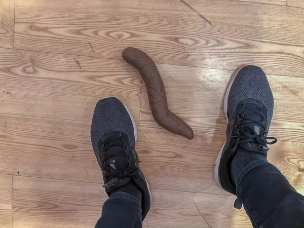 Eine Hundehaufen-Atrappe