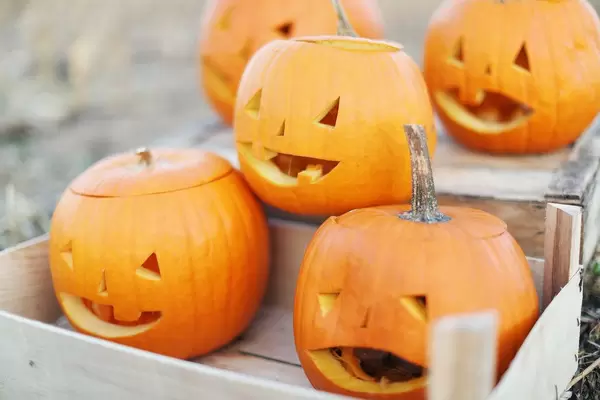 Eine Kiste mit geschnitzten Kürbissen für eine Halloweenparty