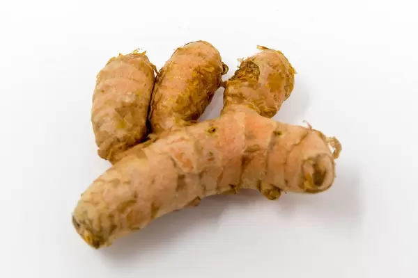 Eine Kurkumawurzel in der Nahaufnahme