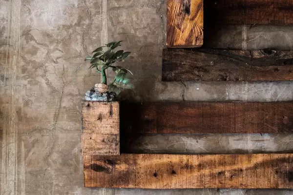 Eine Minipflanze an einer mit Holz stilisierten Betonwand - Industrial Design