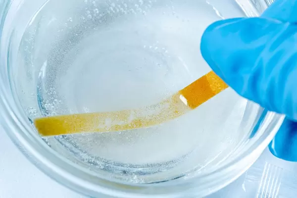 Eine Person mit Gummihandschuhen hält einen pH Indikator Teststreifen in eine chemische Lösung zur Bestimmung des pH Wertes Nahaufnahme