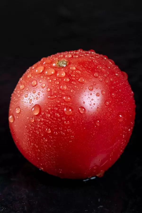 Eine reife Tomate mit Wassertropfen