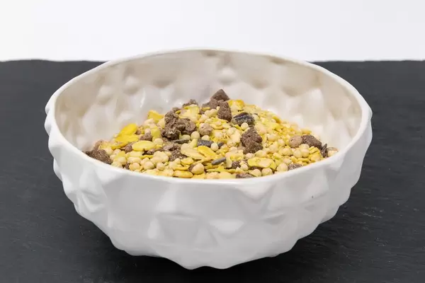 Eine Schale mit Layenberger Low Carb Protein Keks-Müsli in der Variation Schoko Crunchy