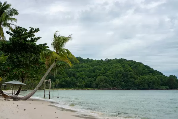 Eine Schaukel an einer schrägen Palme, Strandliegen und Sonnenschirme am Sao Beach auf der Insel Phu Quoc in Vietnam