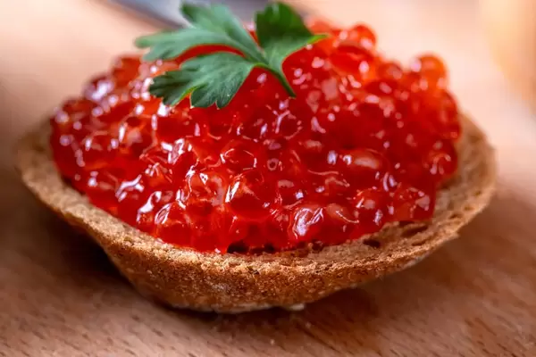 Eine Scheibe Brot mit rotem Kaviar und Petersilie in der Nahaufnahme