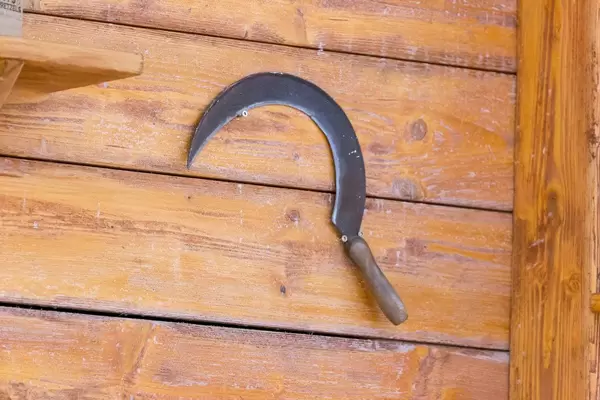 Eine Sichel an einer Holzwand