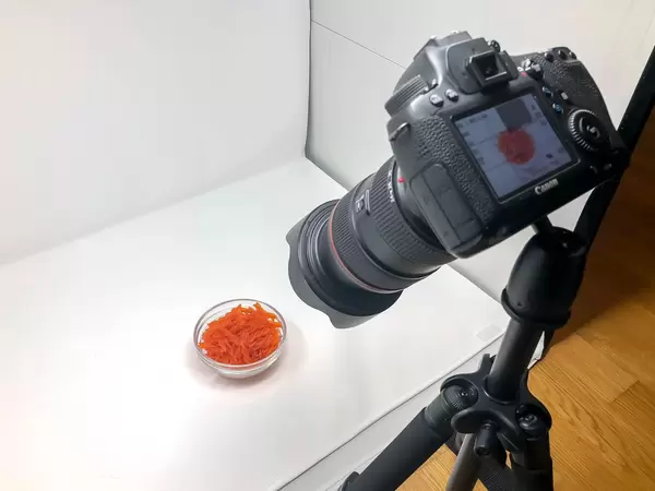 Einsicht in die Stockfotografie - Canon