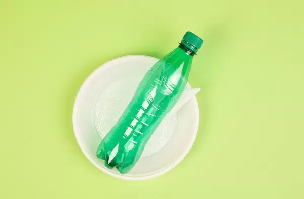 Einweg-Objekte aus Plastik wie Teller, Besteck und PET-Flasche vor hellgrünem Hintergrund