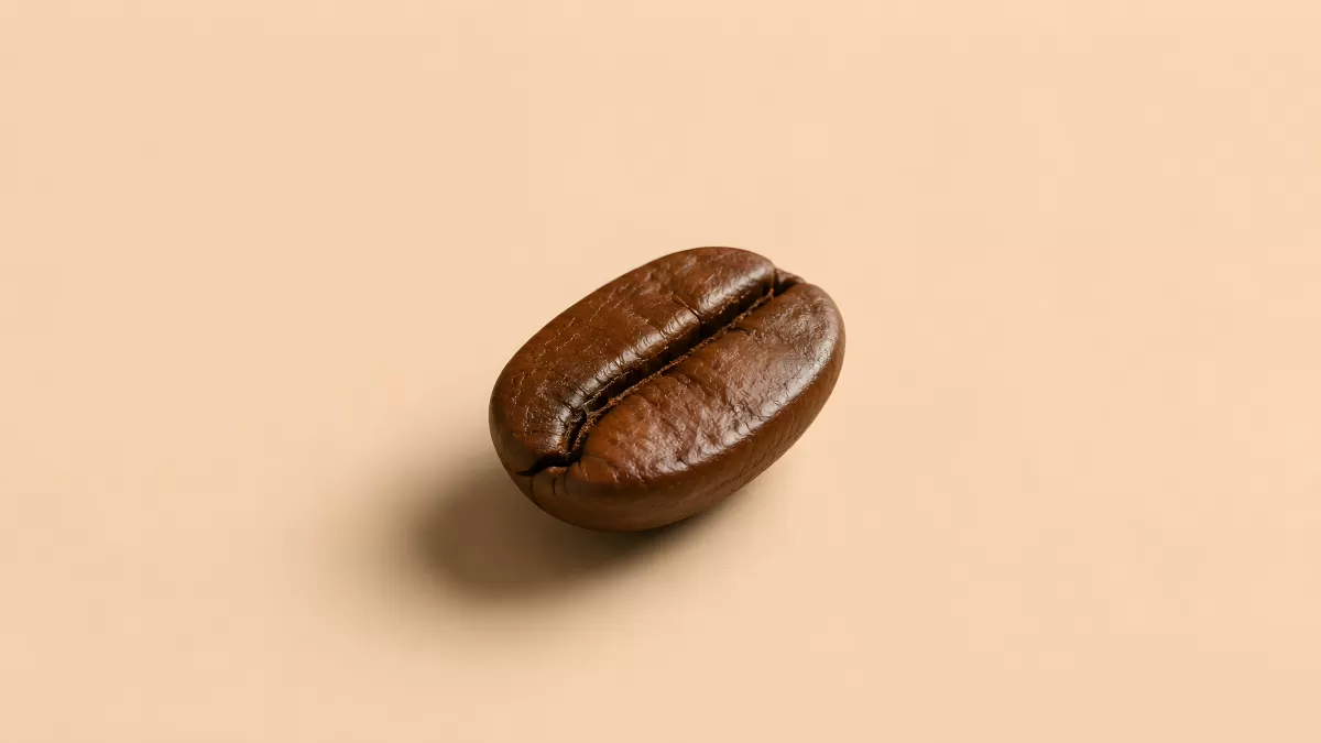 Einzelne geröstete Kaffeebohne auf beigem Hintergrund