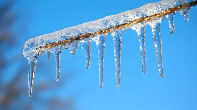 Eisige Tropfen auf winterlichen Zweigen vor blauem Himmel
