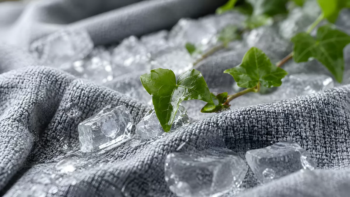 Eiswürfel und Efeuzweig auf grauem Leinenstoff