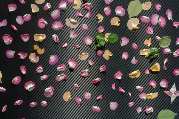 Electrostatic Display Board by Eclipse at IFA Berlin 2018