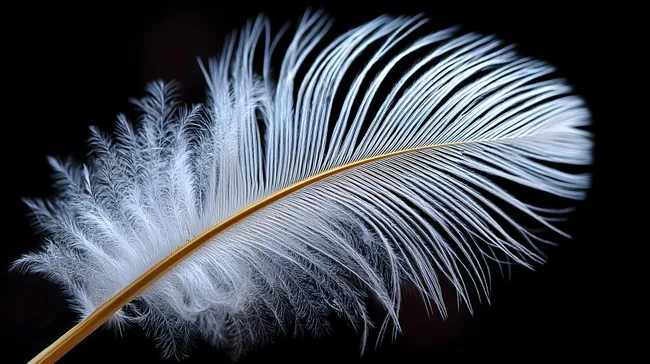 Elegant schwebende Feder auf schwarzem Hintergrund