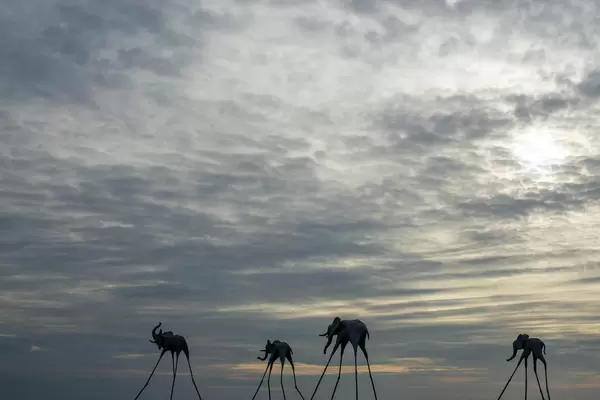 Elephant Sculptures on Sticks in the Sea with Cloudy Sky at Sunset Sanato Beach Club in Phu Quoc, Vietnam