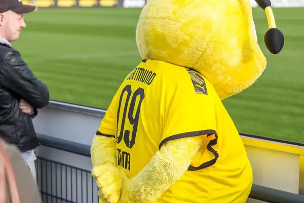 Emma the bee mascot is the loyal fan from the team